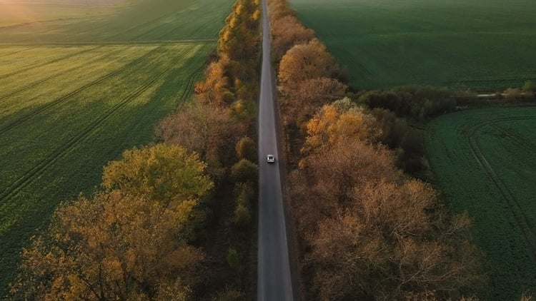 Car driving up a vertical road surrounded by green, yellow and orange trees.