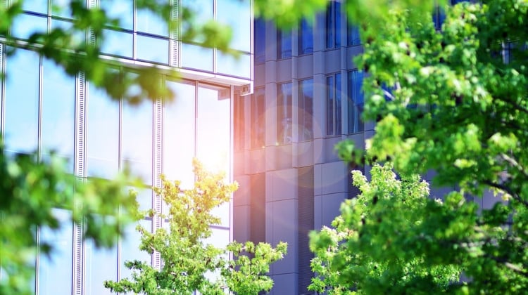 A skyscraper reflecting the sunlight in its windows with green leafy trees on the edge of the image obscuring the view of the building.